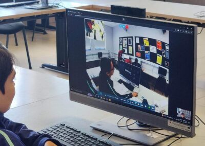 TRinE Guide: Requirement for the use of Telepresence Robots in Secondary Schools